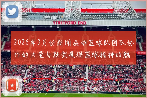 2026年3月份新闻成都篮球队团队协作的力量与默契展现篮球精神的魅力与价值