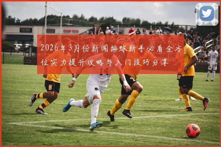 2026年3月份新闻排球新手必看全方位实力提升攻略与入门技巧分享