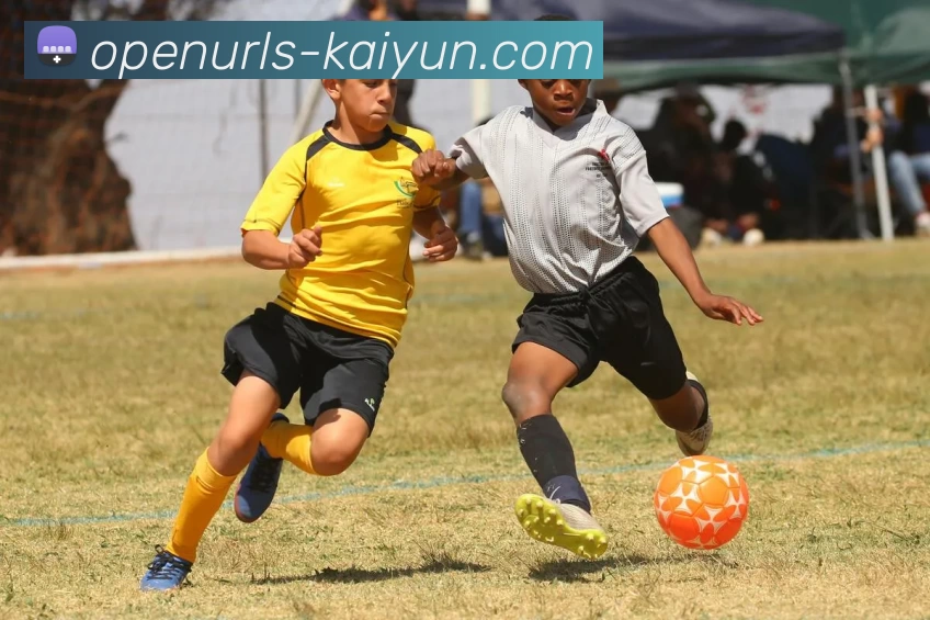 kaiyun平台生态图