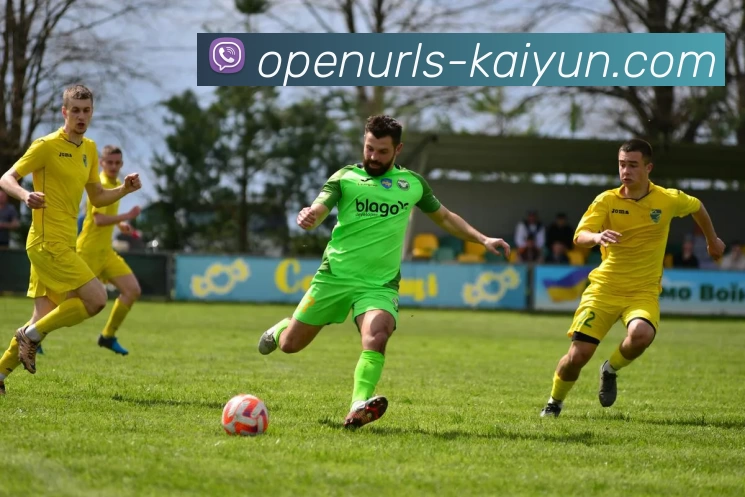 数据防护可视化